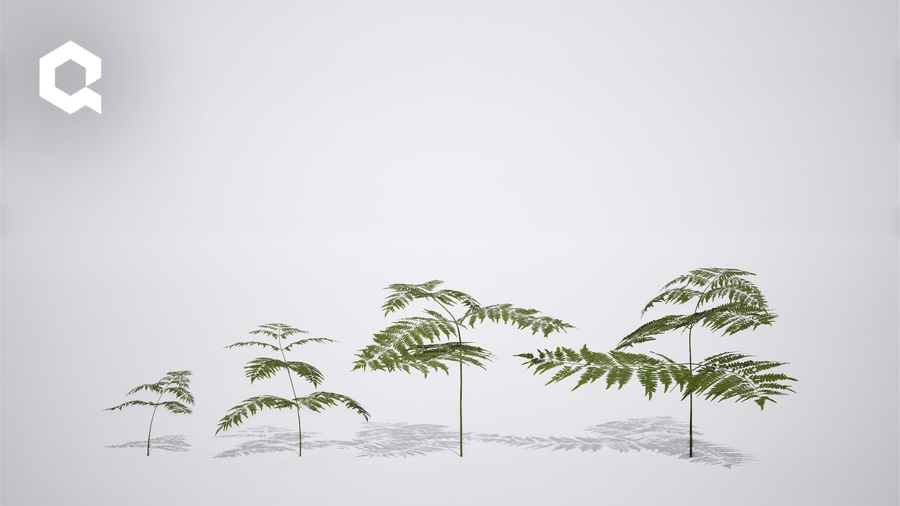 Media 1 for listing Megaplants: Bracken Fern
