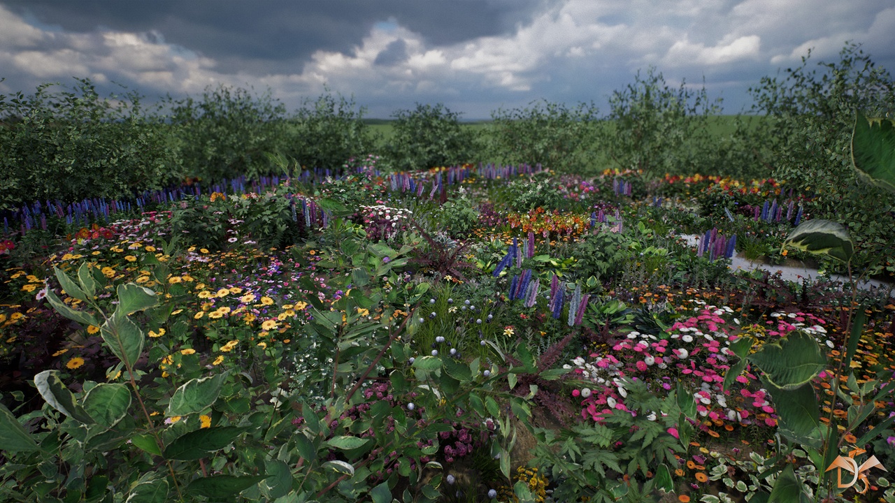 出品Flowers and Plants Nature Part 1のメディア1