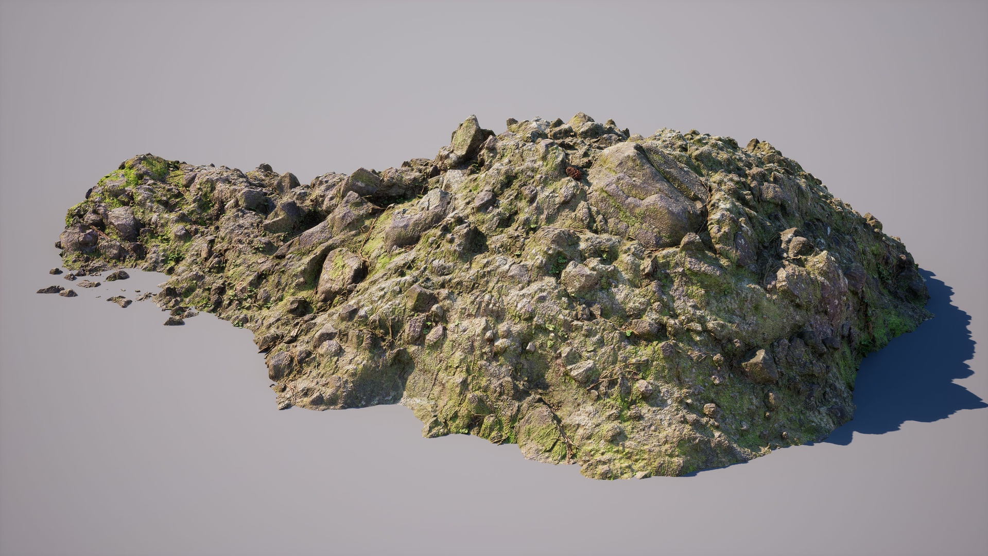 Media 1 for listing Forest Ground Rock 002