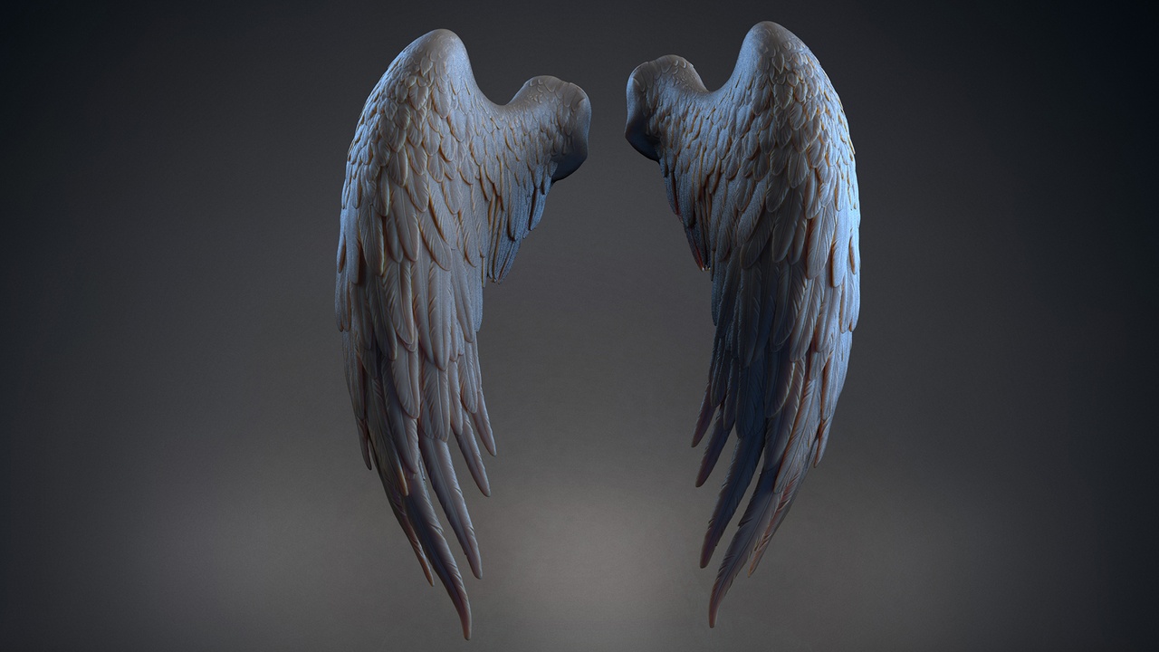 Media 1 for listing Wings - 4  I 3D Sculpting