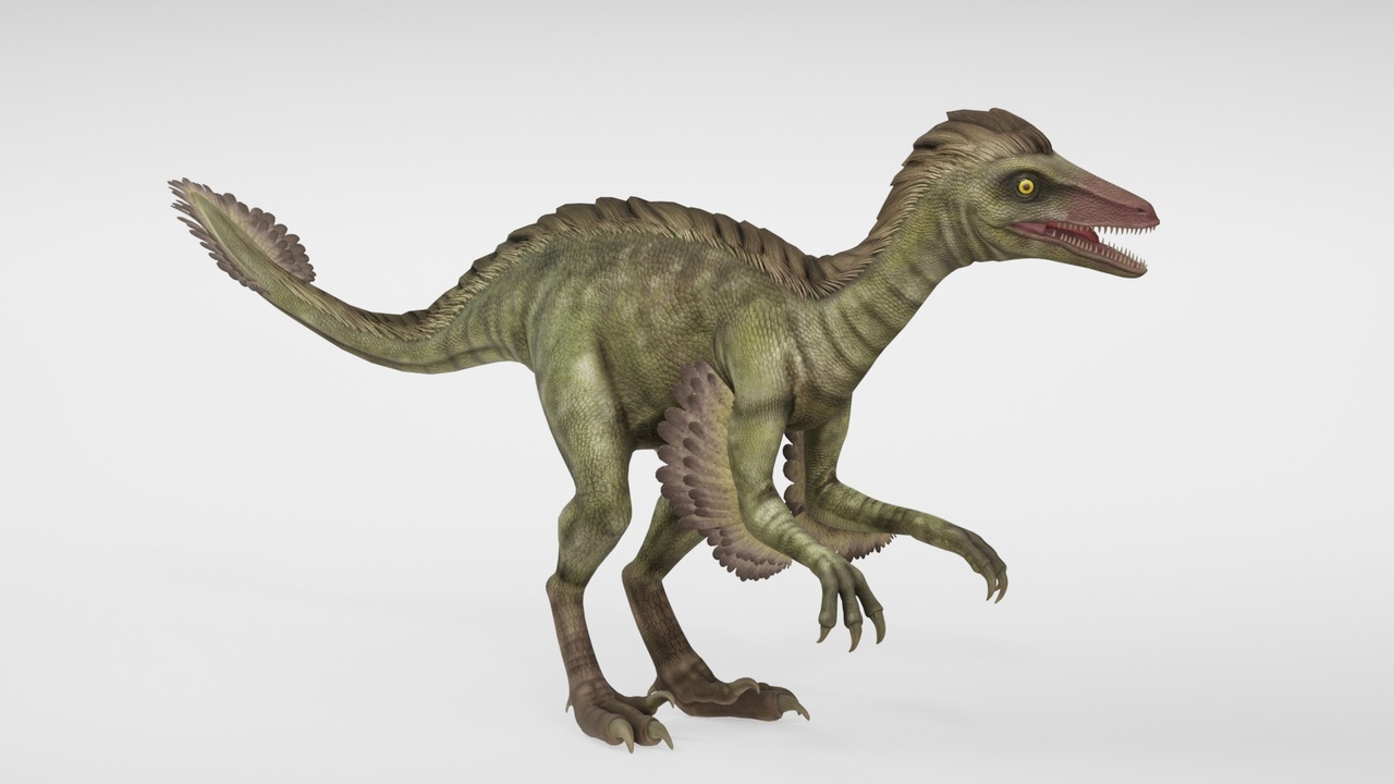 Media 1 for listing Troodon Realistic Dinosaur Prehistoric Creature