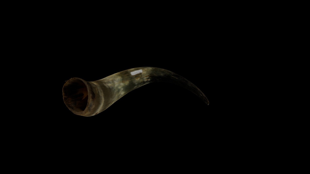 Media 1 for listing Georgian Yanwi, Horn
