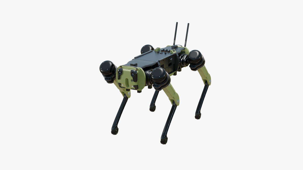 Media 1 for listing Robot Dog v02