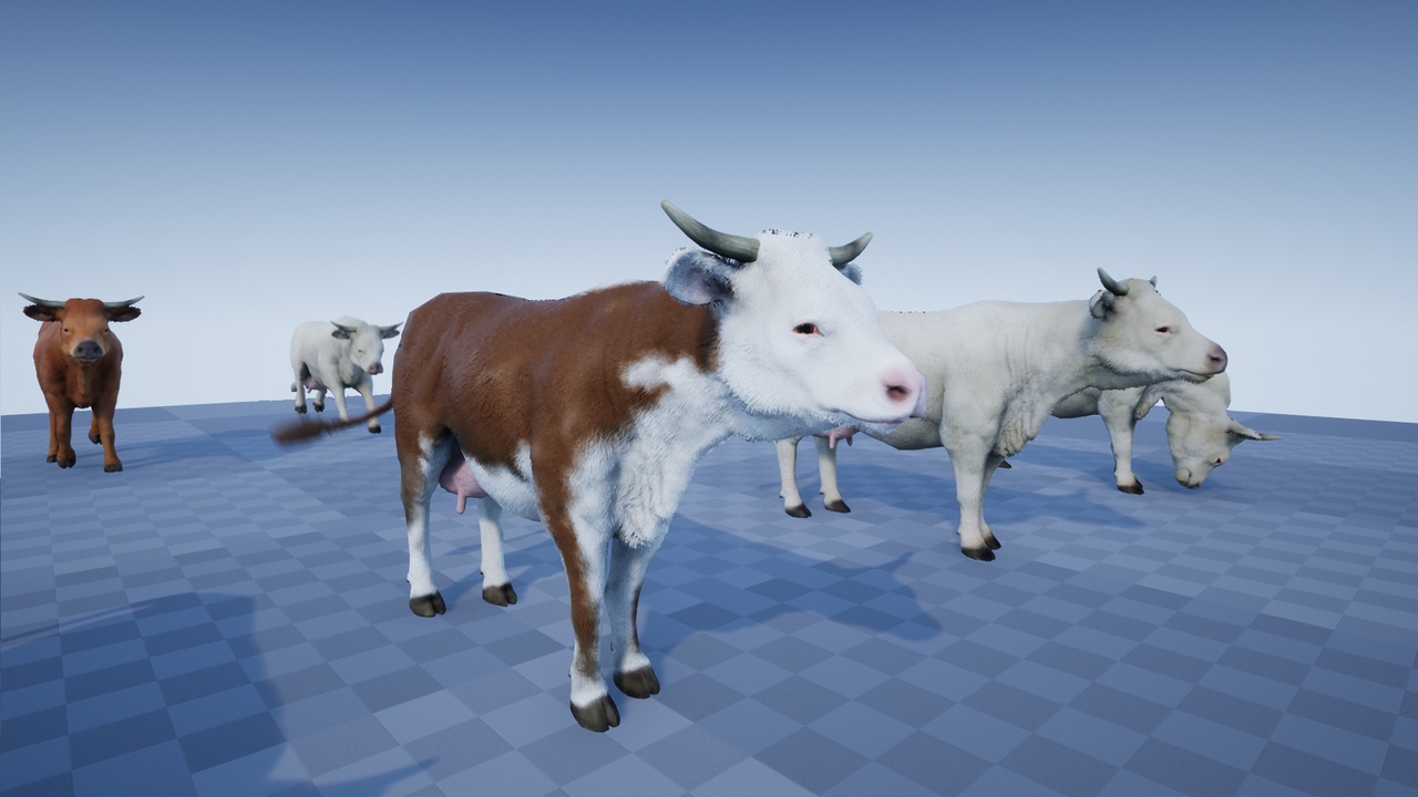 Media 1 for listing FARM ANIMALS PACK