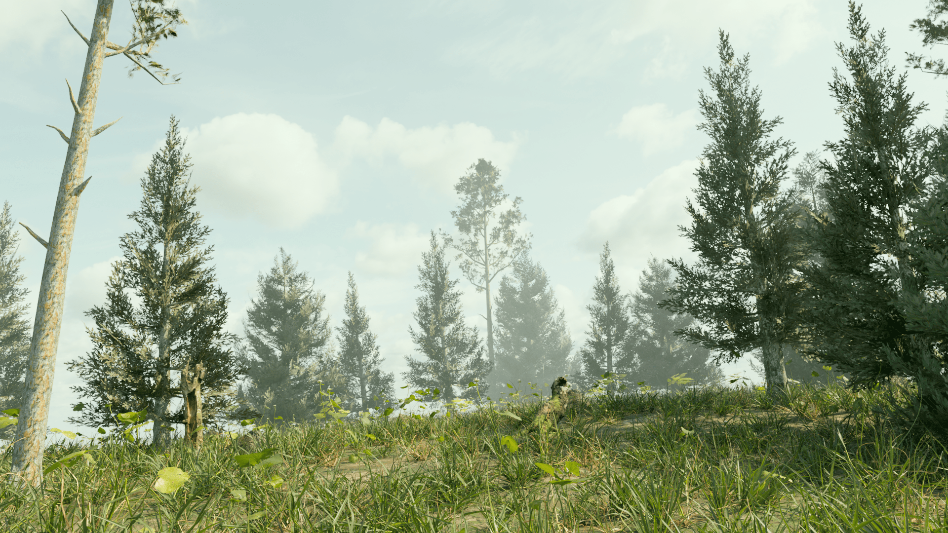 Ultra Realistic Forest | Fab