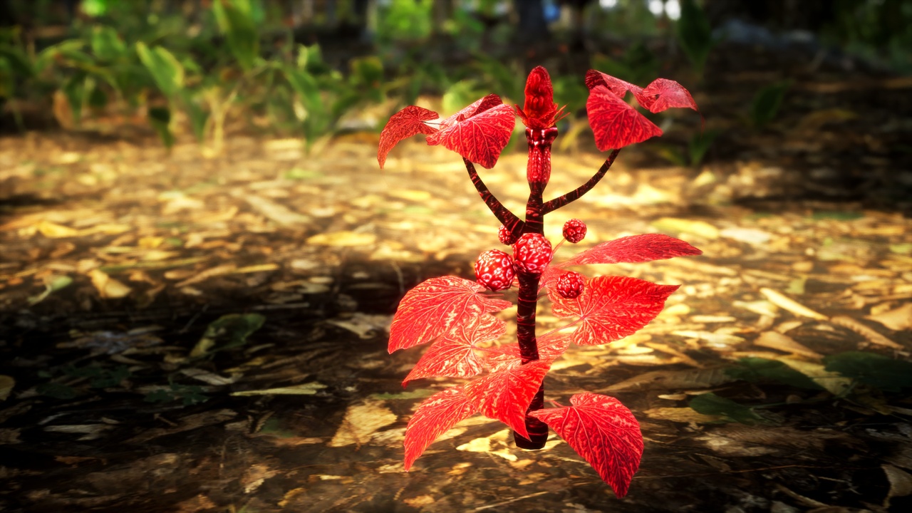 Media 1 for listing Red Fantasy Forest - 6 Mountain Magic Redberry Grass Plant
