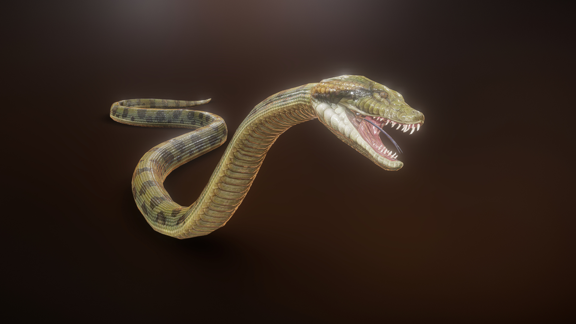 Python binding animation D | Fab