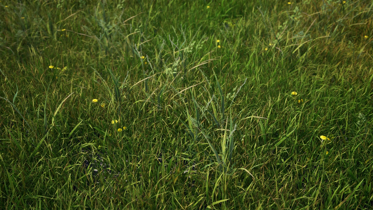 Media 1 for listing Realistic Foliage Pack