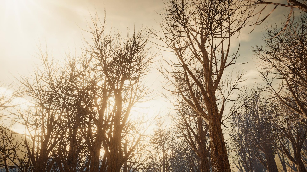 Media 1 for listing Desktop Winter Trees 8 (PC/Console)