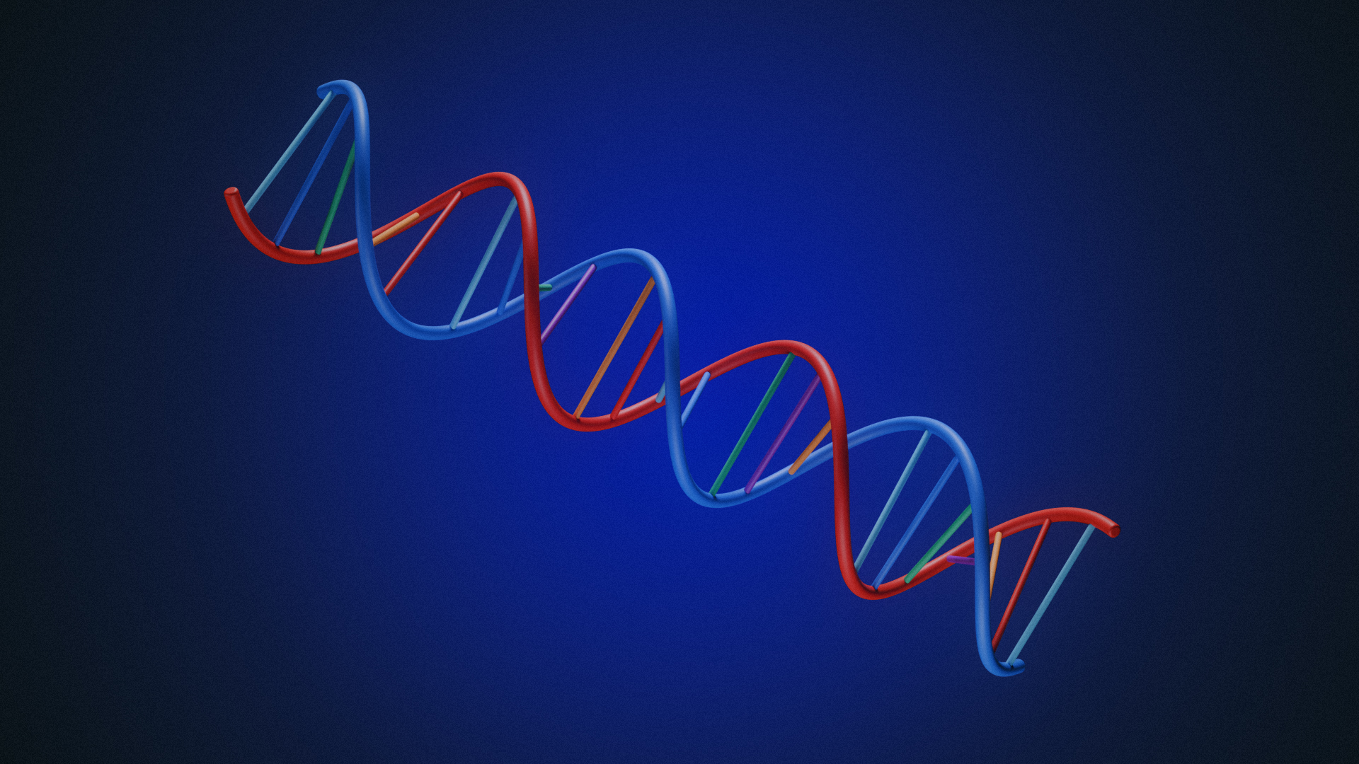 Detailed 3D model of a DNA Double Helix Model | Fab