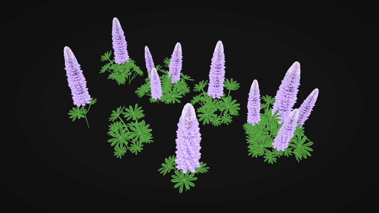 Media 1 for listing Stylized Lupines