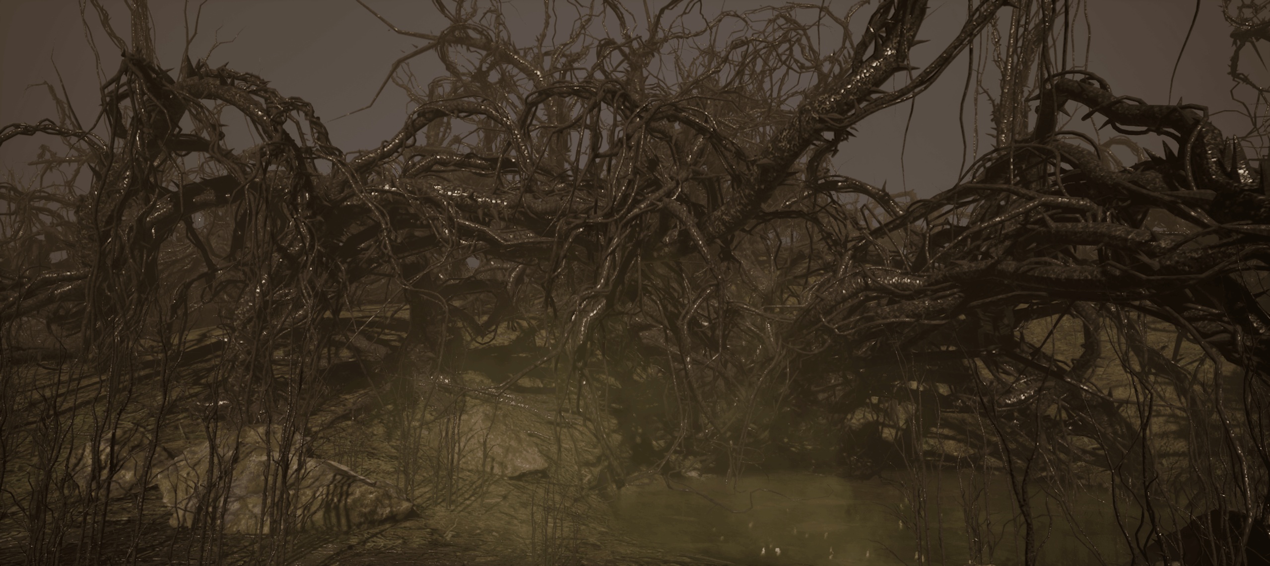 商品 Forest Of Spikes 的媒体 1