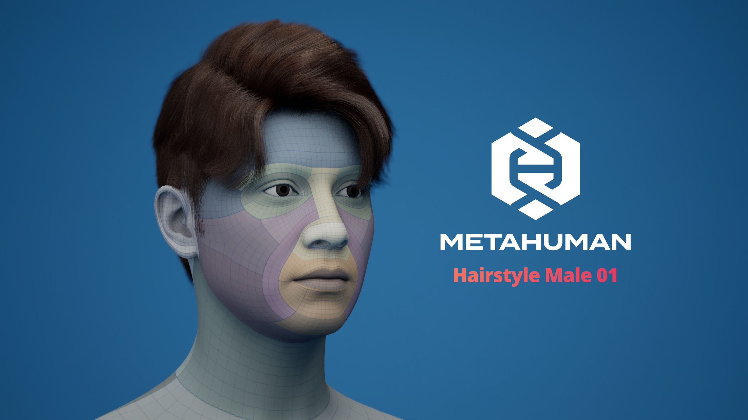 File multimediali per l'articolo MetaHuman Hairstyle Male 01 Groom: 1