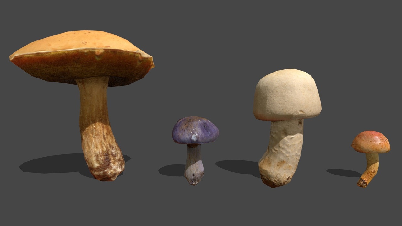 Media 1 for listing Mushroom 21&22&23&24