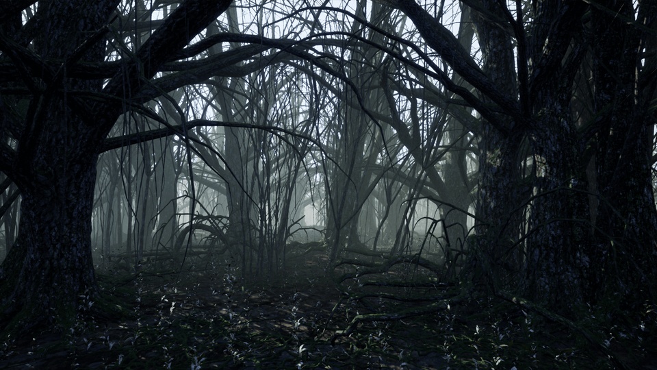Dark Forest | Fab