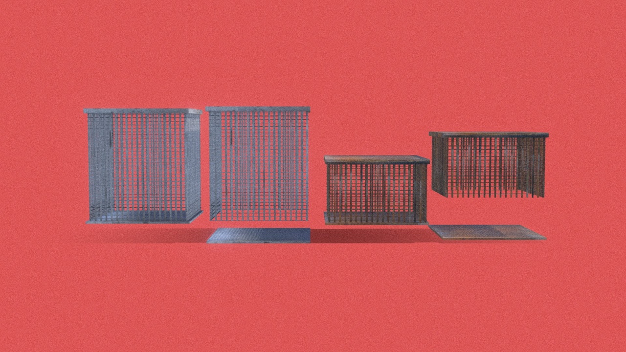 Media 1 for listing PSX - Cage
