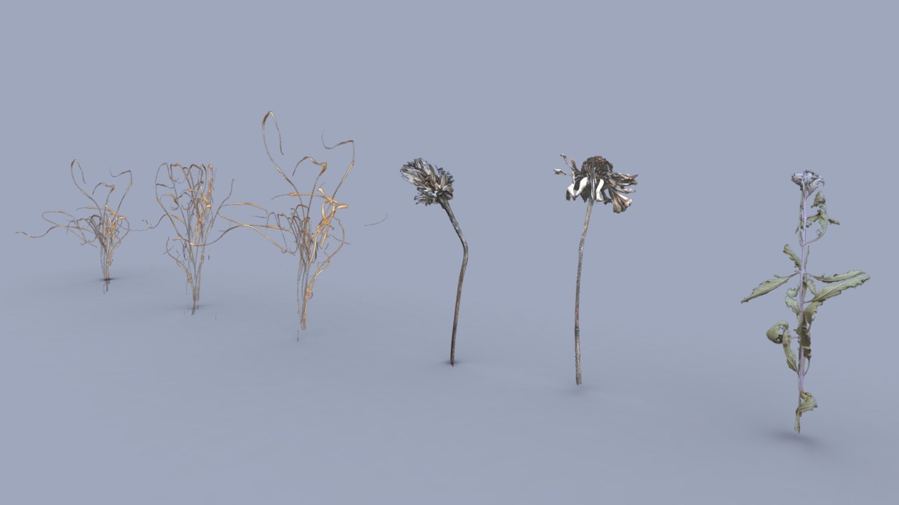 Media 1 for listing Lowpoly Fall Foliage Pack