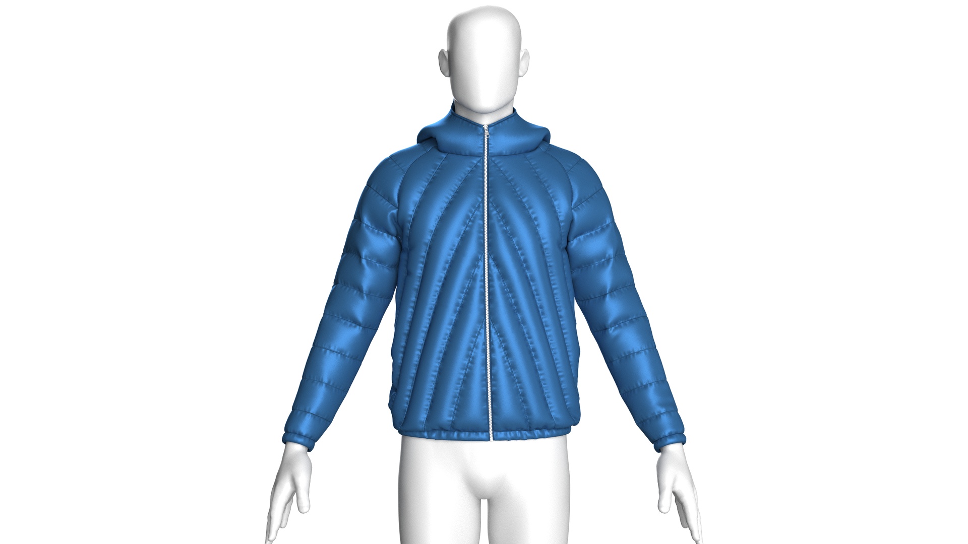 Media 1 for listing Men Vector Blue Puffer Jacket | High Poly