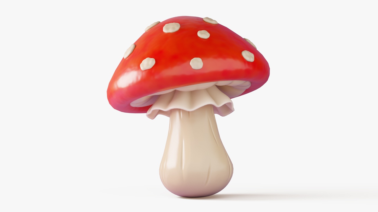 Media 1 for listing Fly Agaric Mushroom