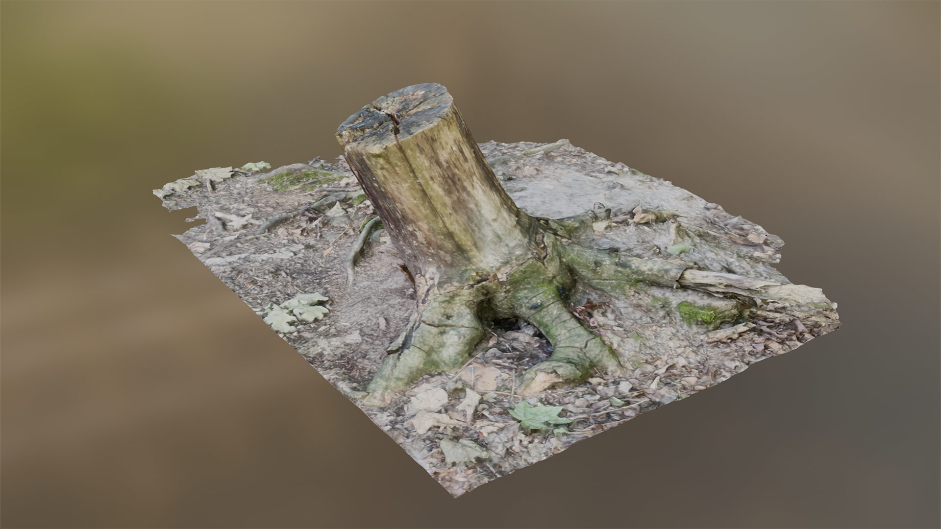 Tree Stump | Fab