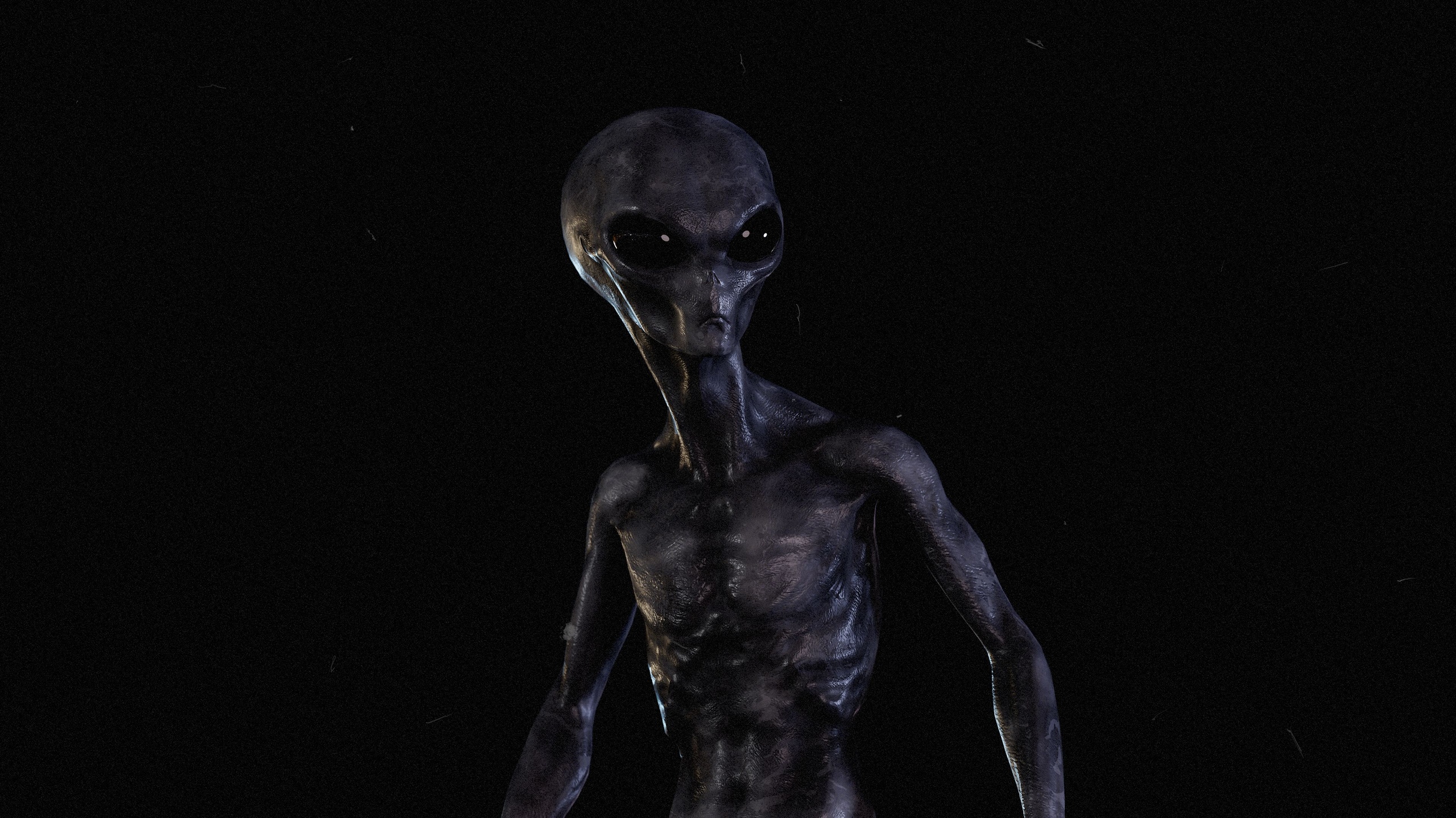Realistic Grey Alien Character | Fab