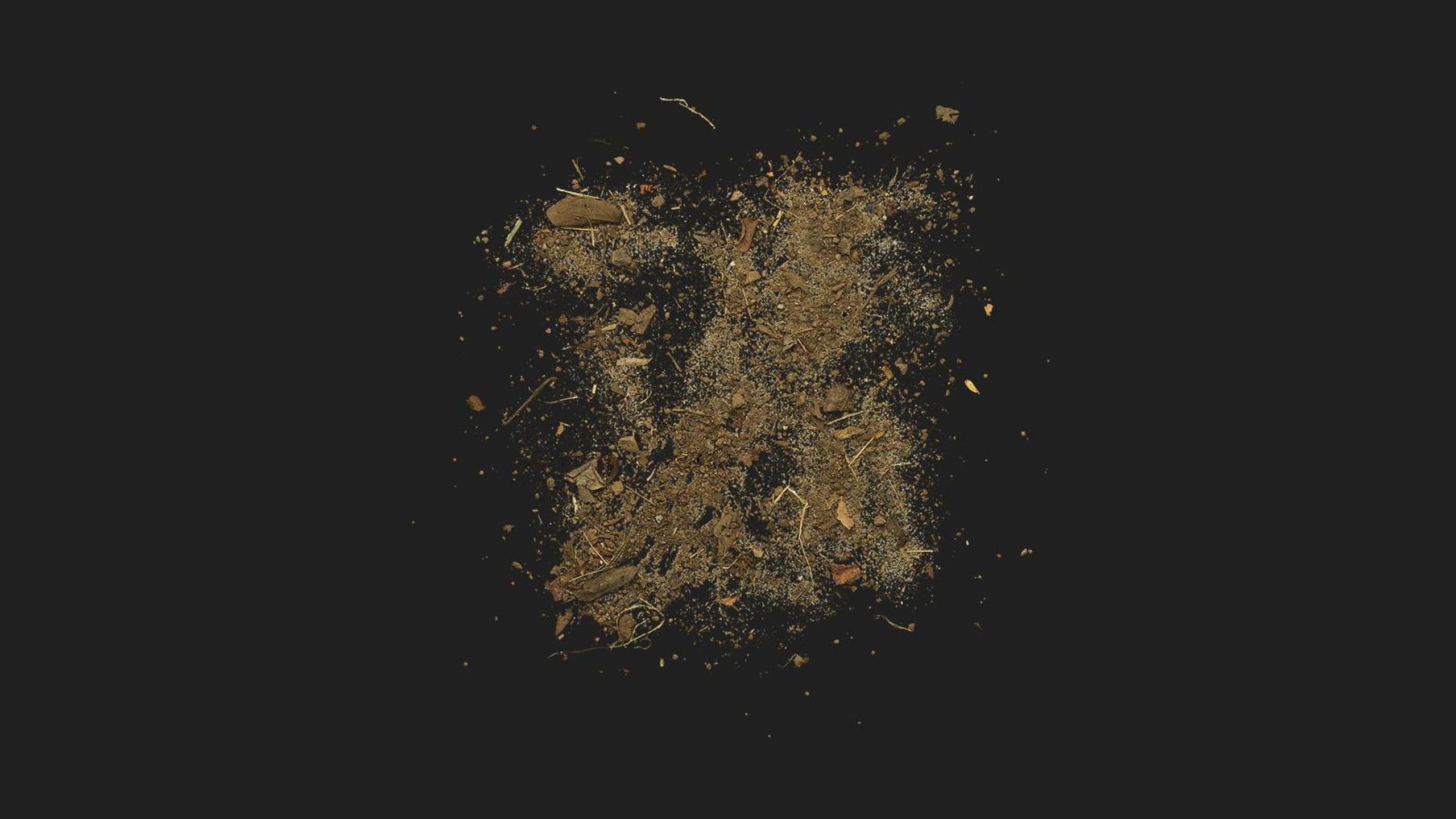 Media 1 for listing Debris