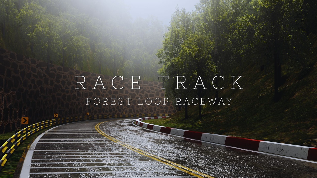 Média 1 pour l'article Race Track : Forest Loop Raceway