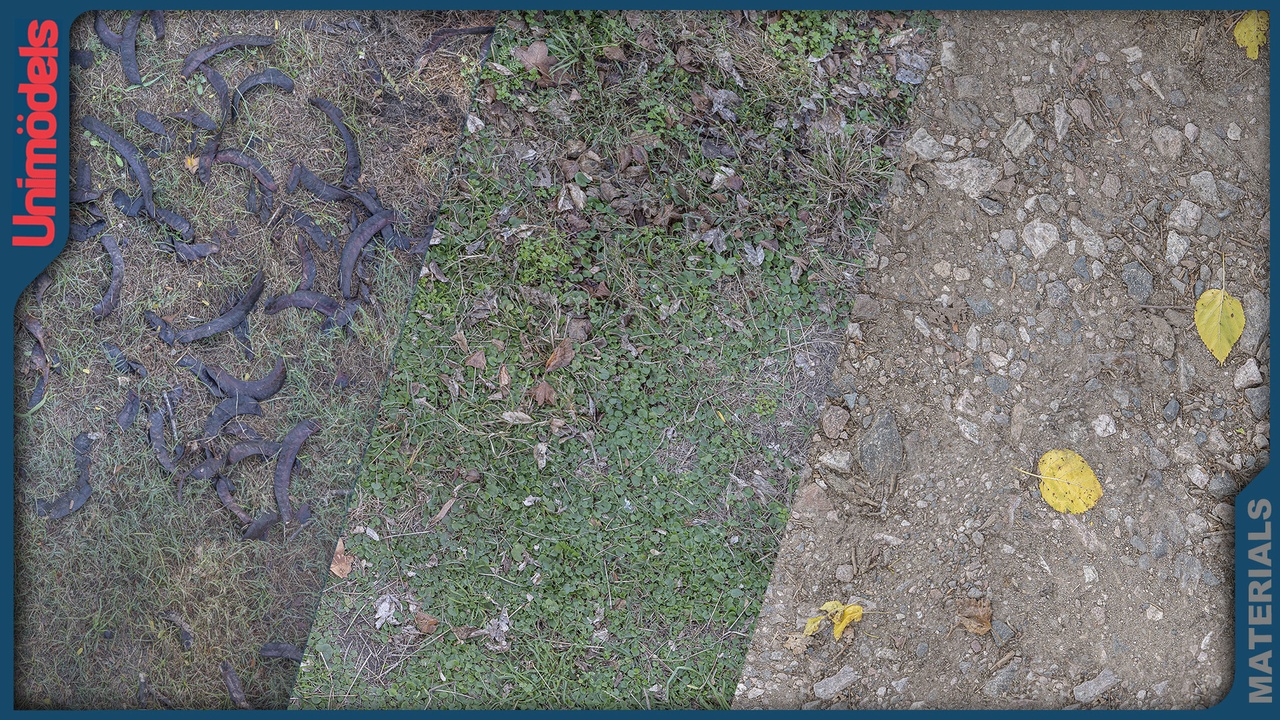 Media 1 for listing Autumn Ground Material Pack Vol. 3 – 20 POM & Nanite ready -