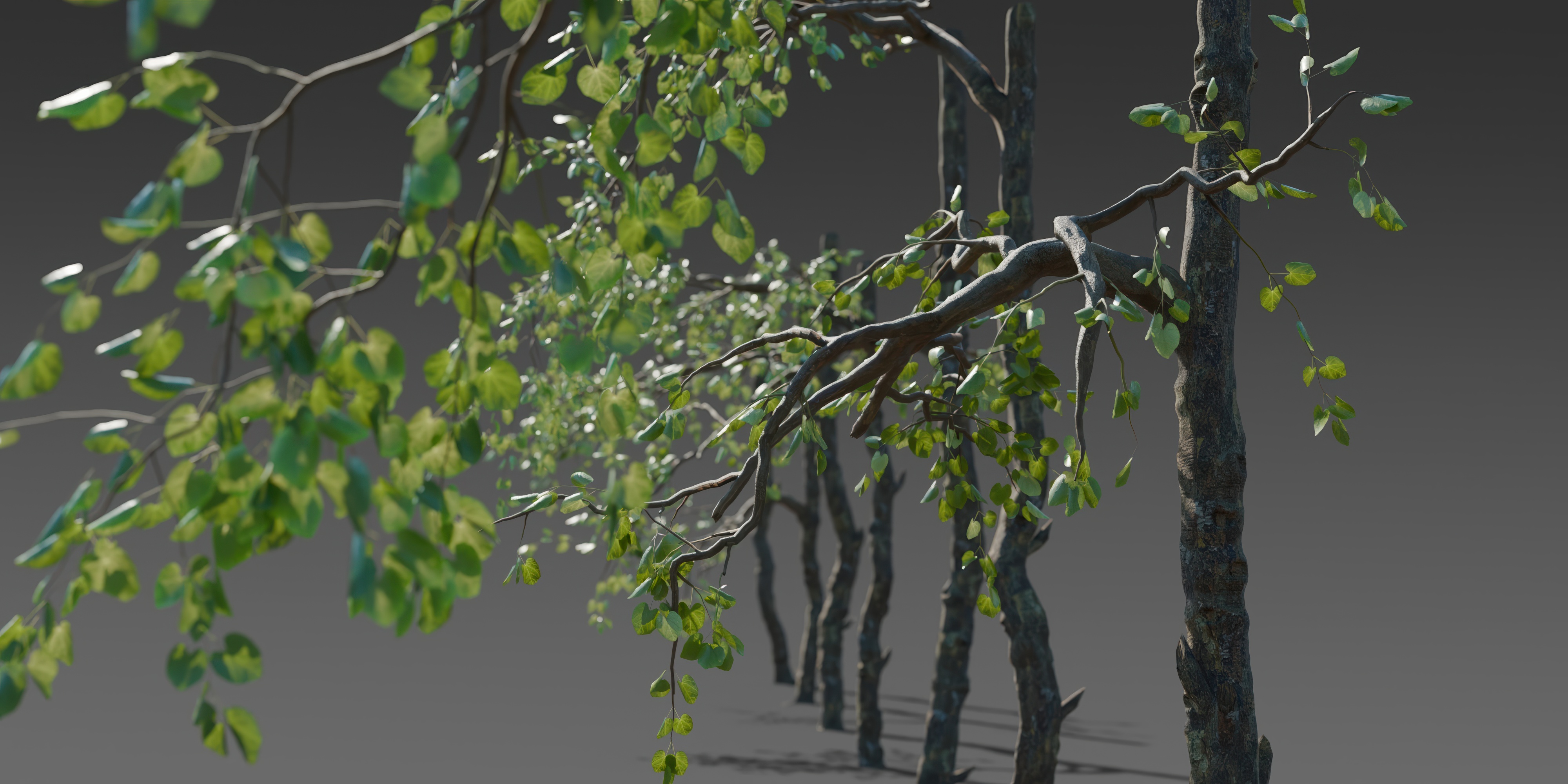Stylized Tree Trunk Collection | Fab