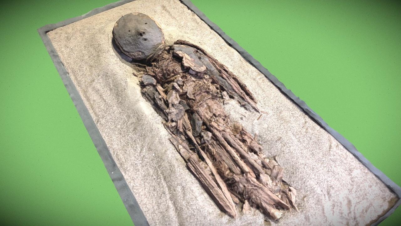 Media 1 for listing Baby mummy 3Dscan