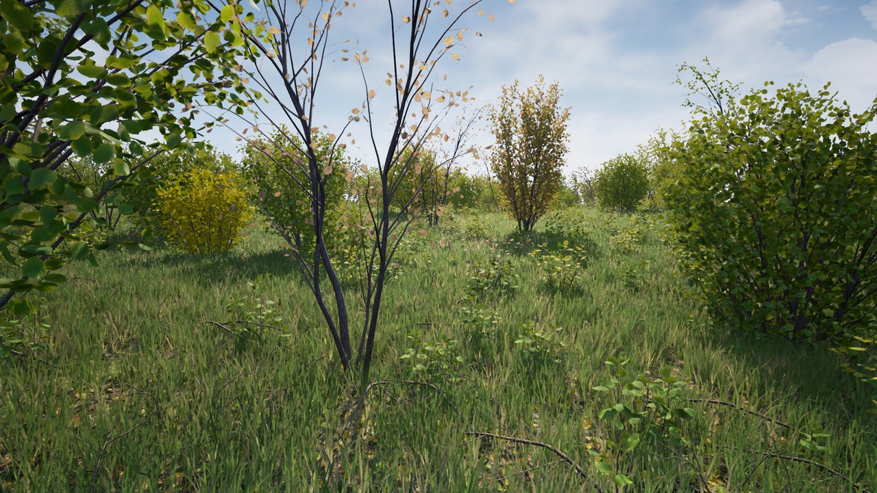 Media 1 for listing Hazel Bushes