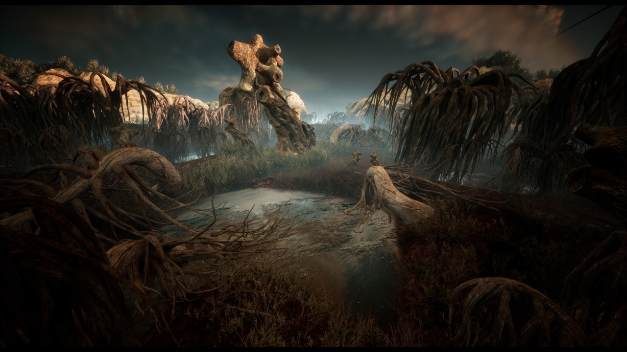 Media 1 for listing Mysterious Forest