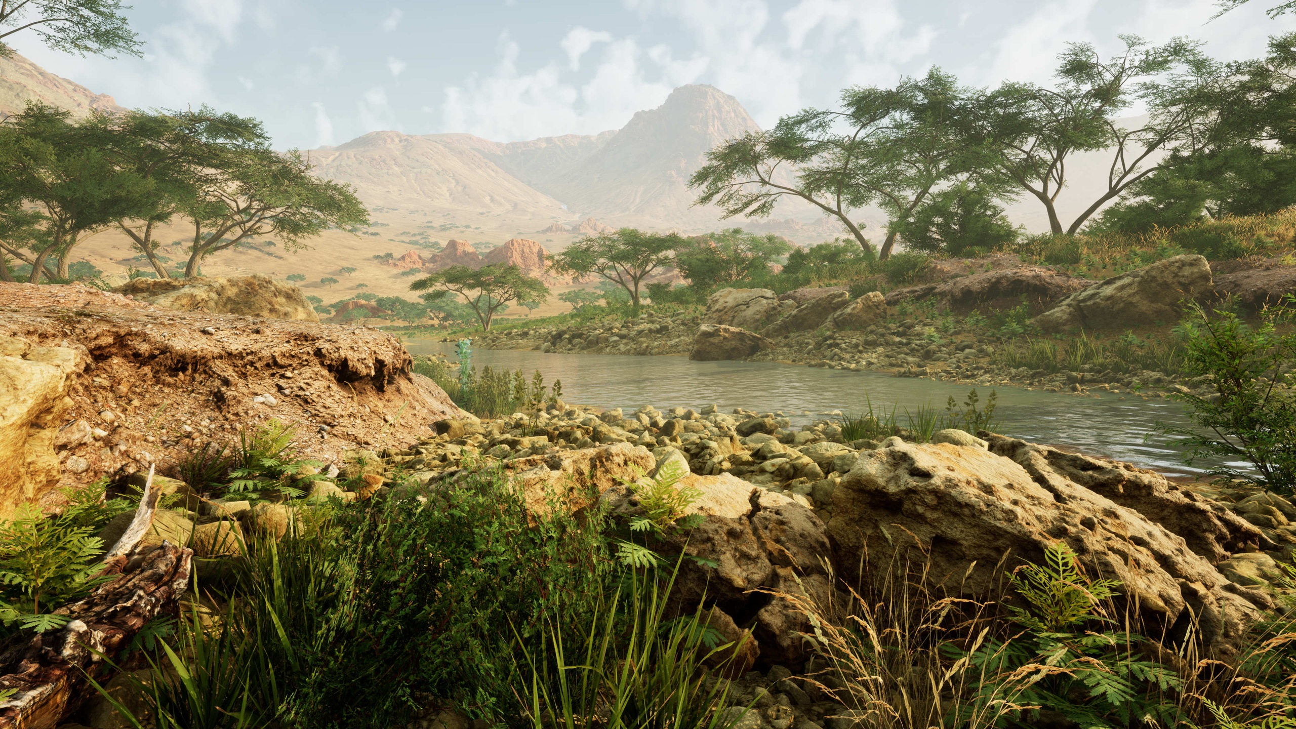 Media 1 for listing Savanna environment (grasslands, trees, forest, grass, rocks, mountains)