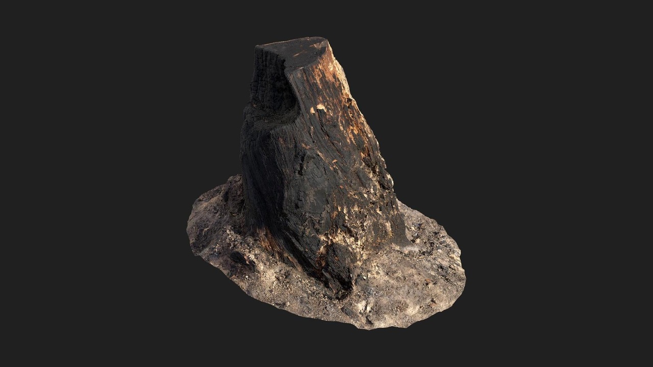 Media 1 for listing Burnt Tree Stump