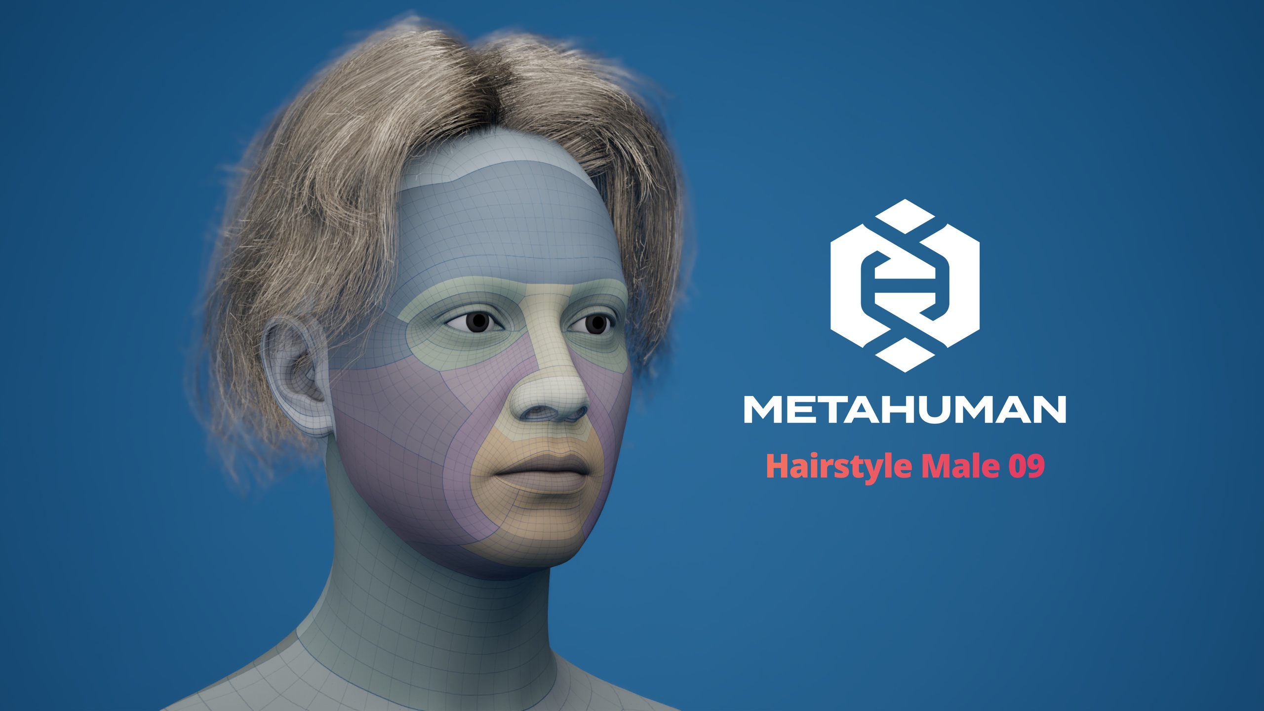 Media 1 for listing MetaHuman Hairstyle Male 09 Groom