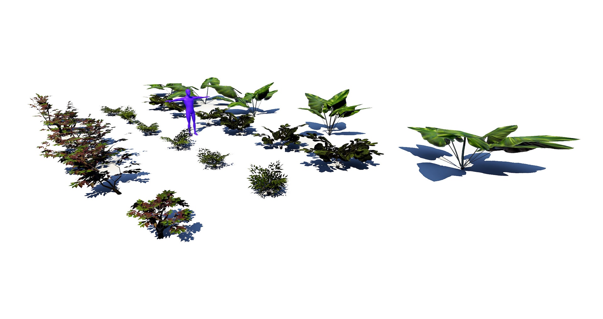 Media 1 for listing Gen05GroundCover01