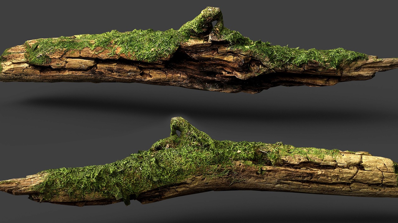 Media 1 for listing branch broken tree wood debris PBR photogrammetry FREE