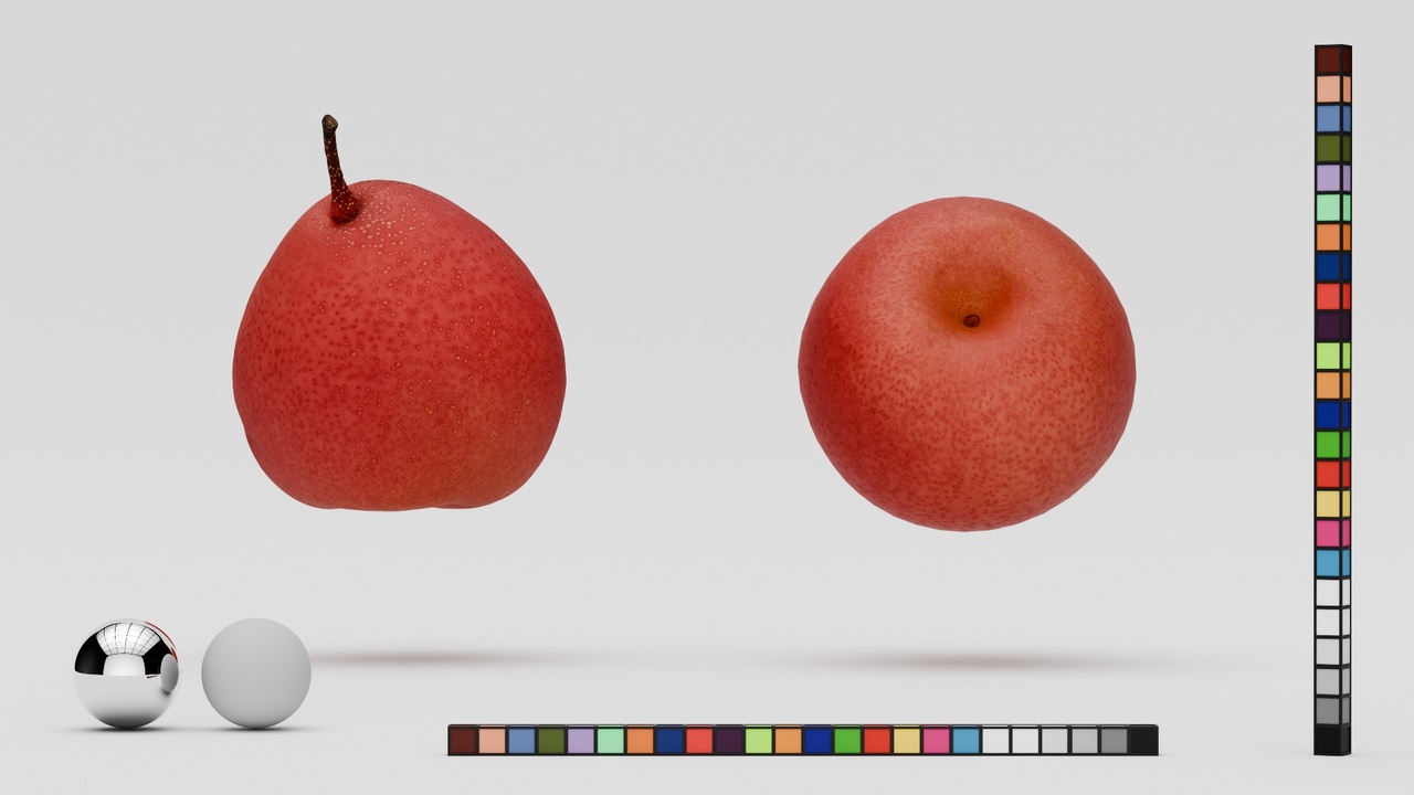 Media 1 for listing 3D Scan - Pear_Nashi_1