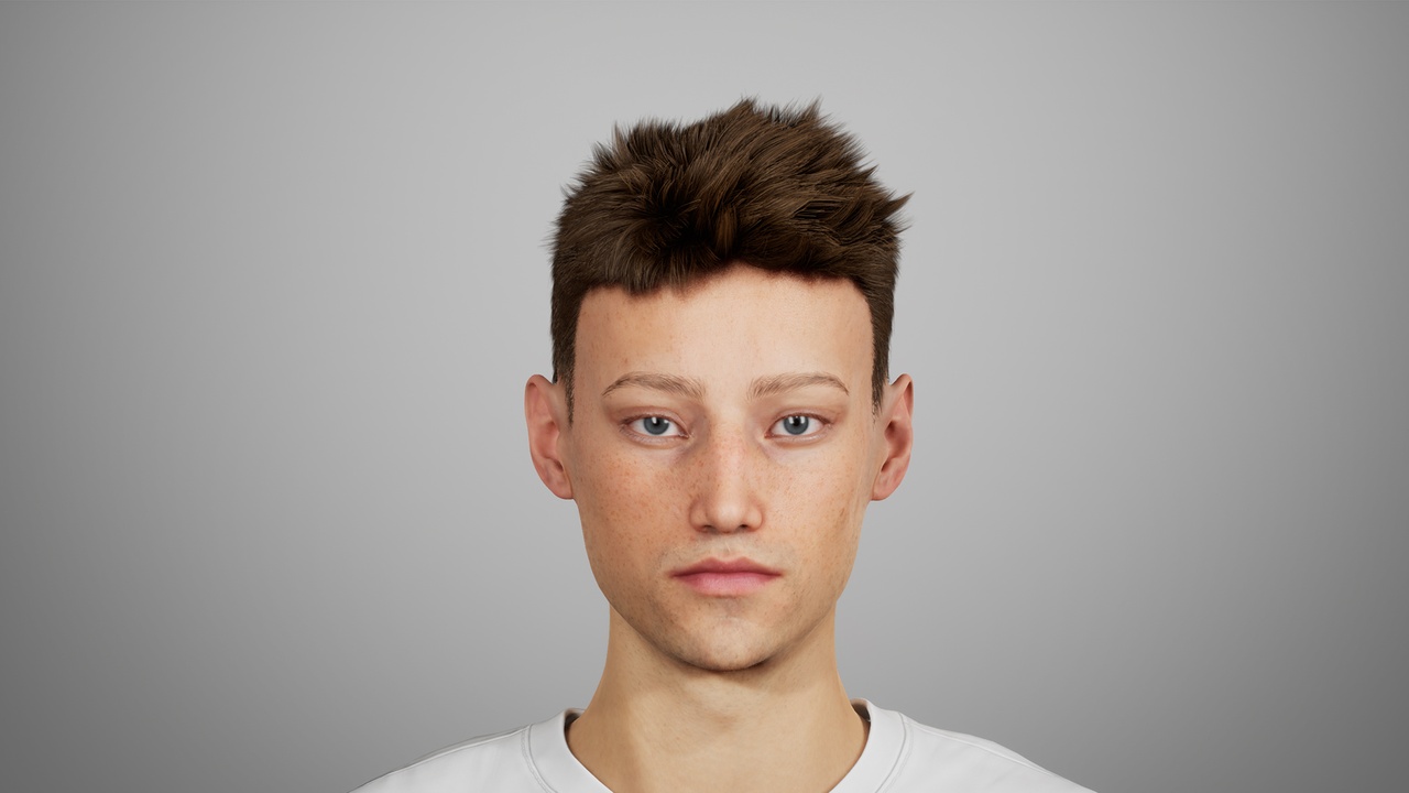 Media 1 for listing MetaHair 239- Groom hair for Metahumans - With low lowpoly version