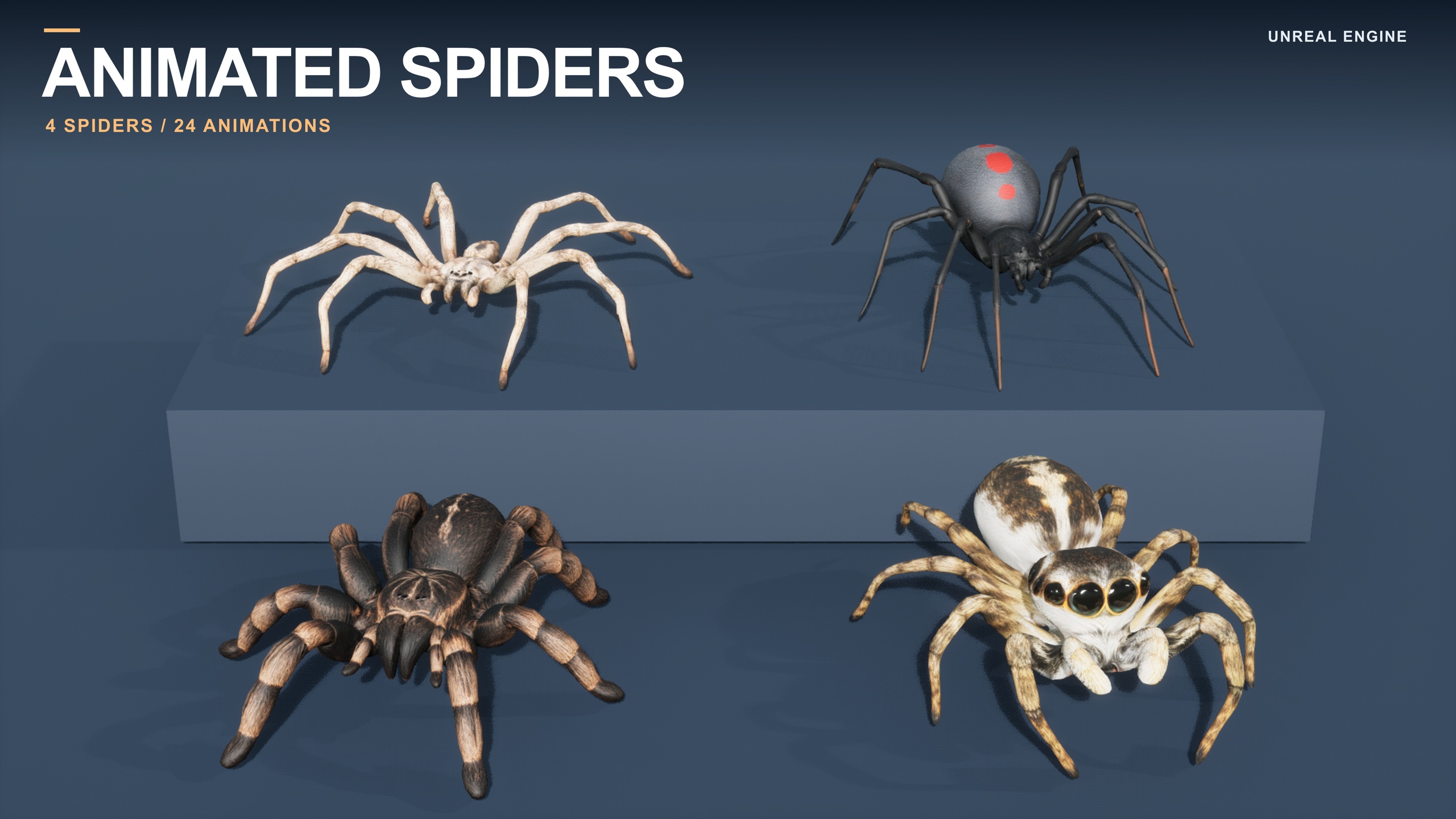 Media 1 for listing Spider Pack - 4 Animated Arachnids for Unreal Engine