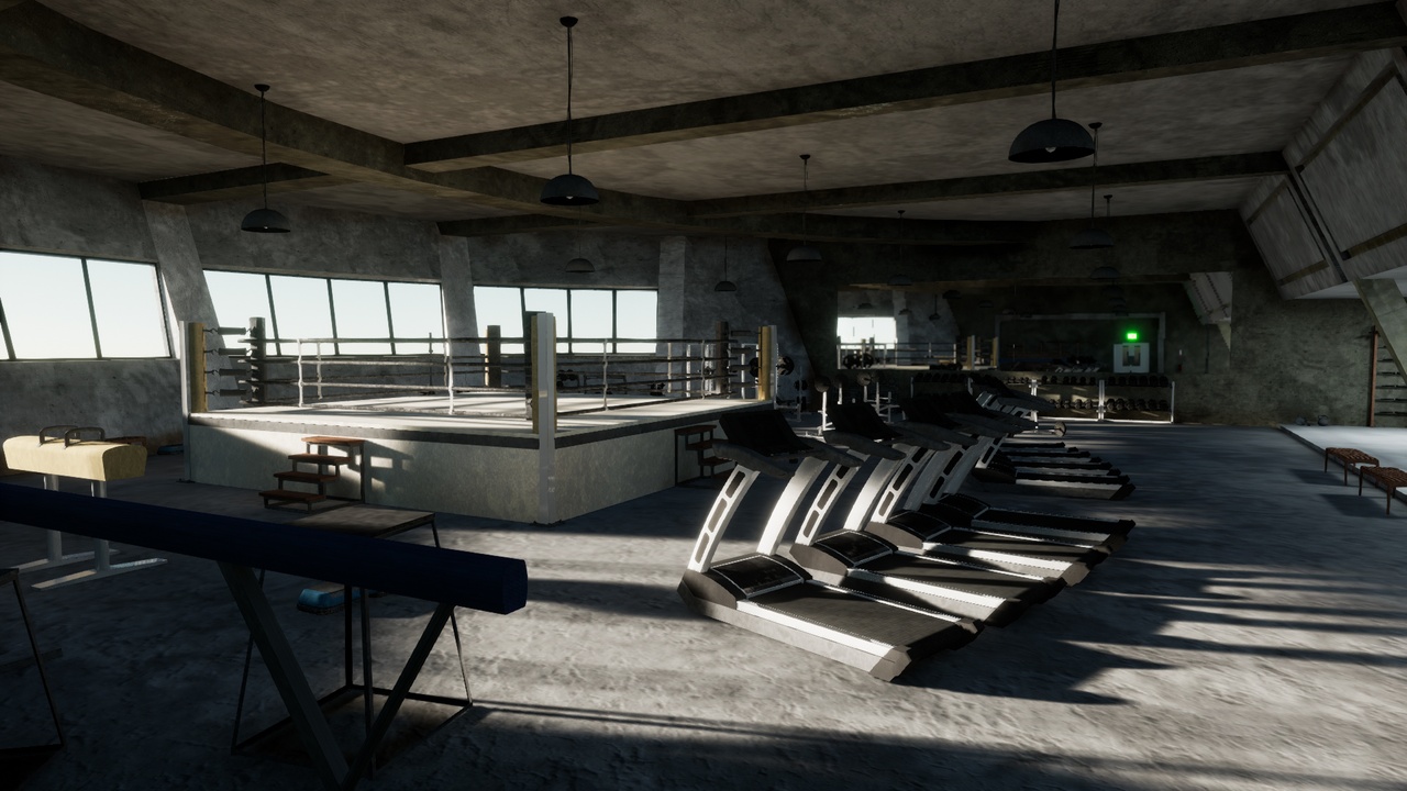Media 1 for listing Gym Equipment Assets Pack