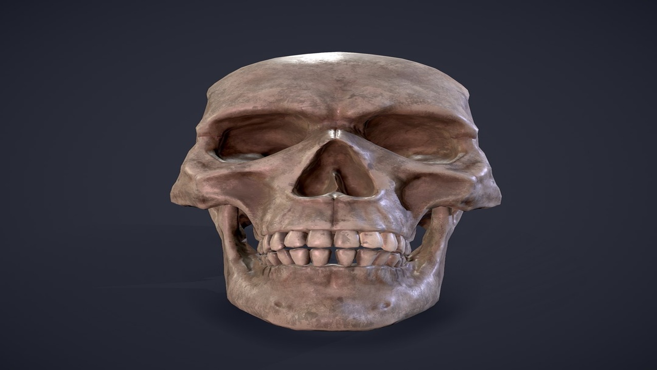 Media 1 for listing Stylized Fantasy Skull - Game Ready 3D Prop
