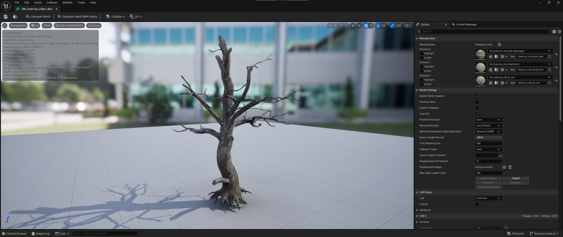 Media 1 for listing Quercus Robur Dead(Oak)