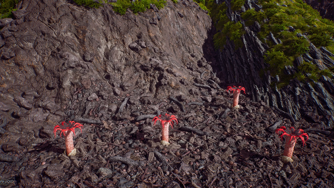 Media 1 for listing Fungi Pit