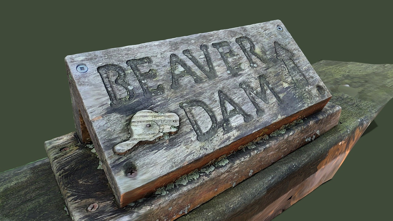 Media 1 for listing Dream Fuel | Beaver Dam Sign Wooden