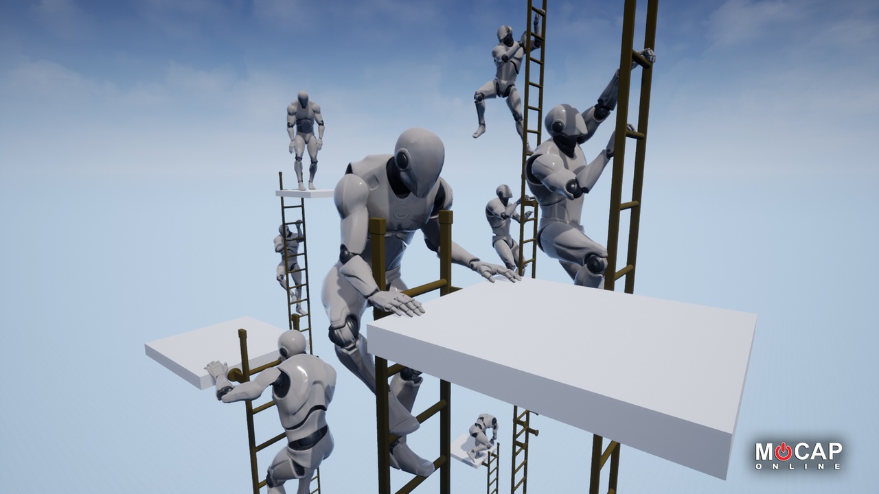 Media 1 for listing Climbing Ladder Pro - MoCap Animation Pack