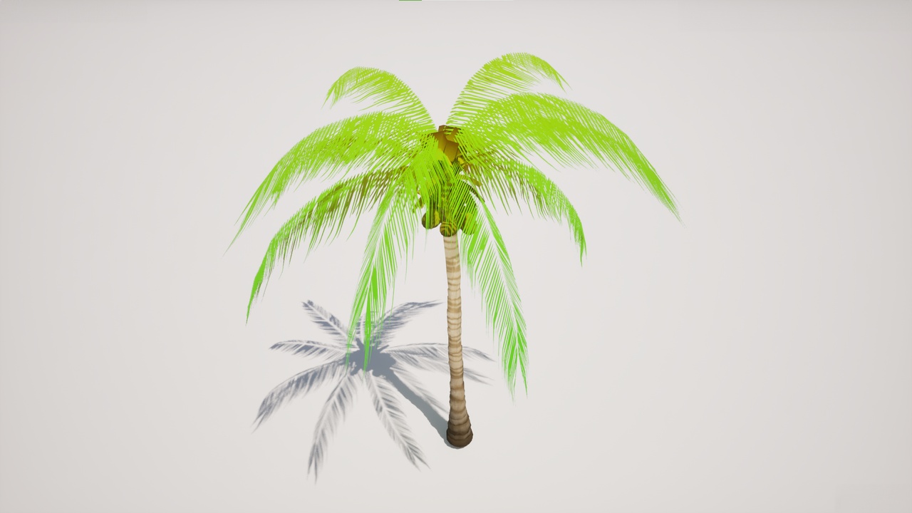 Media 1 for listing Stylized Coconut Tree | Game-Ready UE5 Foliage Asset