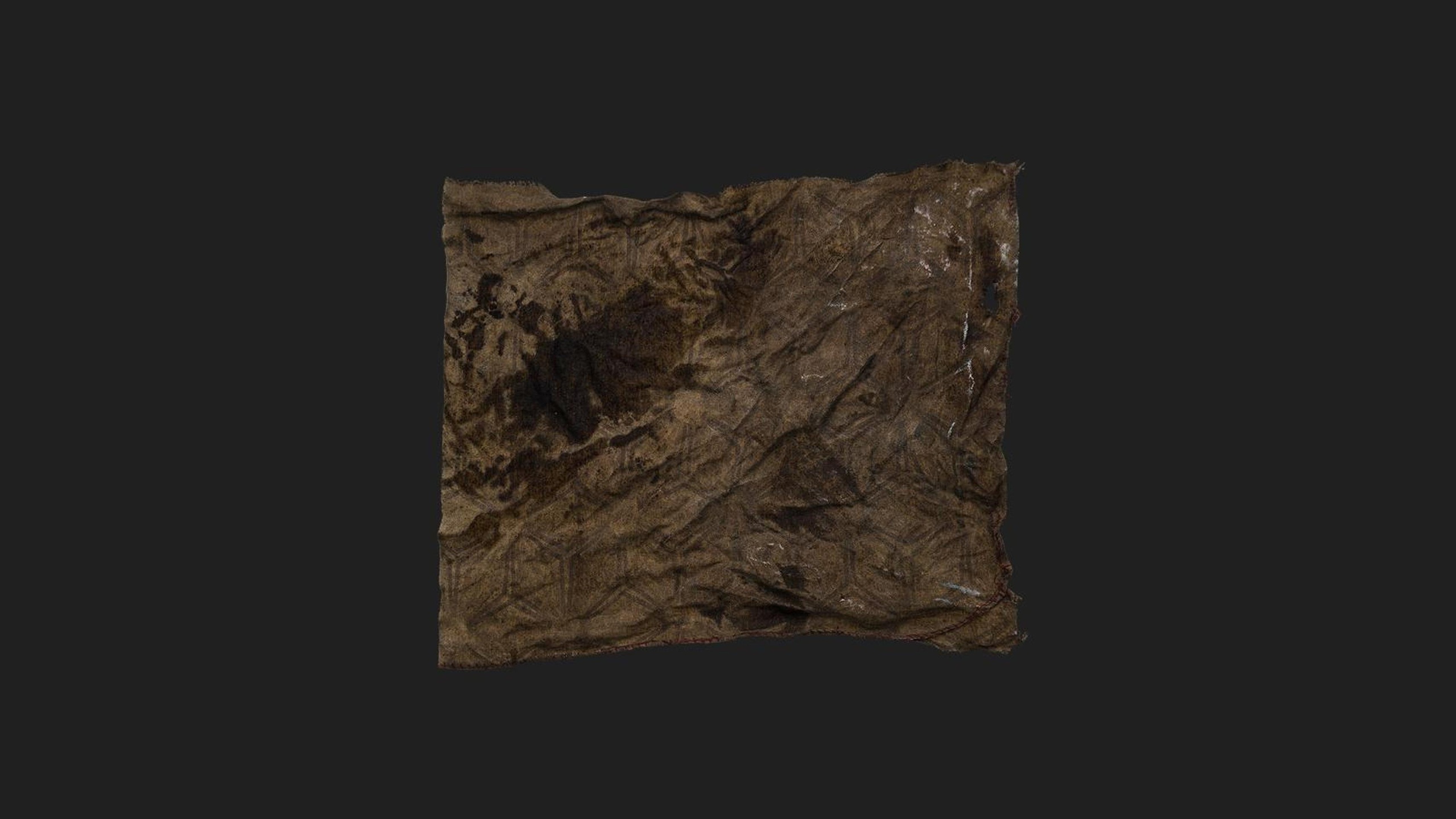 出品Oily Ragのメディア1