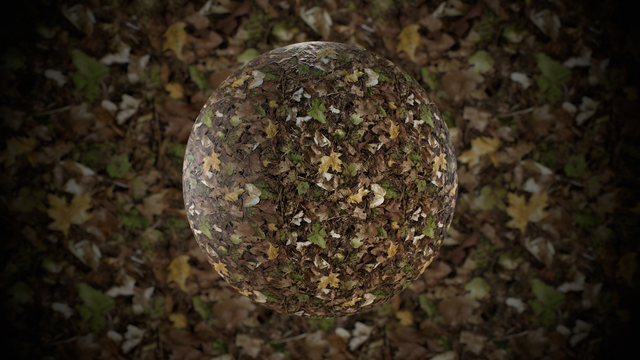 الوسائط 1 للقائمة Forest Ground Material Pack 5