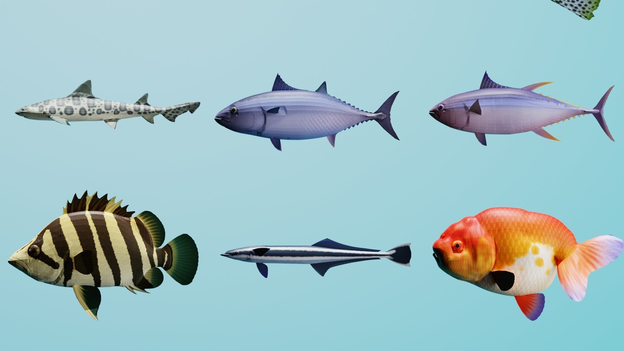 Media 1 for listing 3D Ornamental & Marine Fish Asset Collection: Freshwater & Saltwater Species